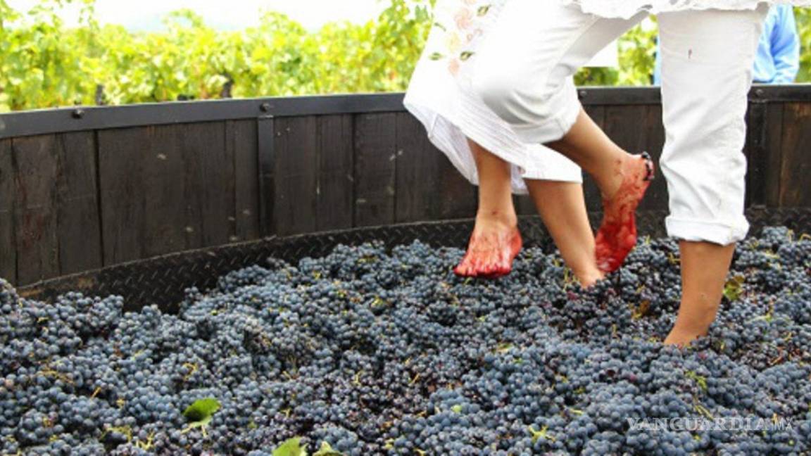 Cancelan Feria de la Uva y el vino en Parras