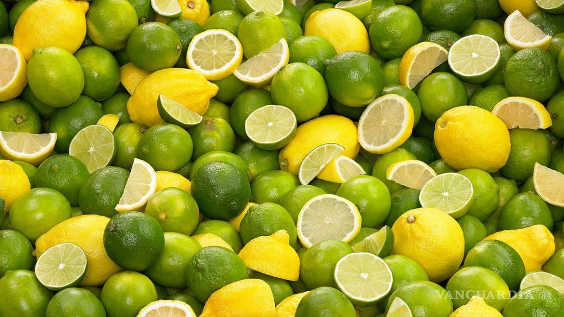 ¿Cuándo bajará el precio del limón?, tal vez para esta fecha