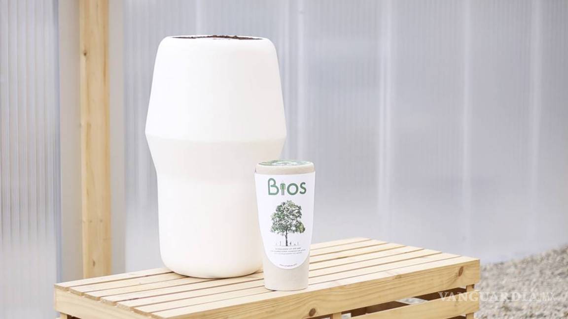 $!Bios Incube, cenizas que dan vida