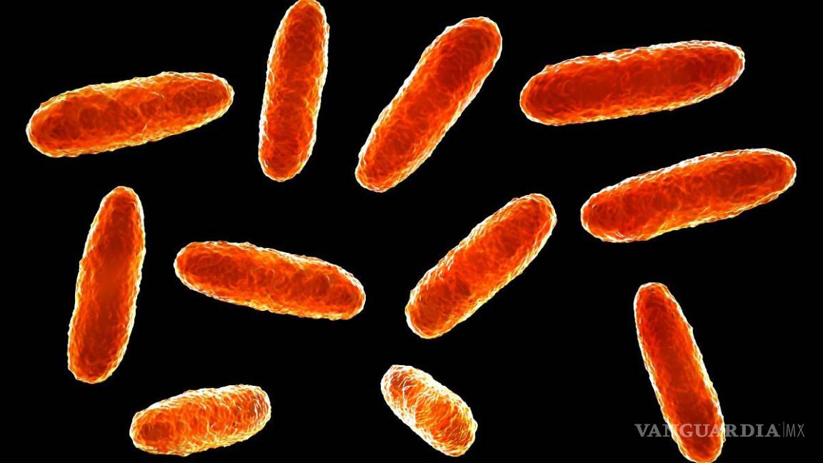 Confirma SSa 20 casos del brote de Klebsiella oxytoca