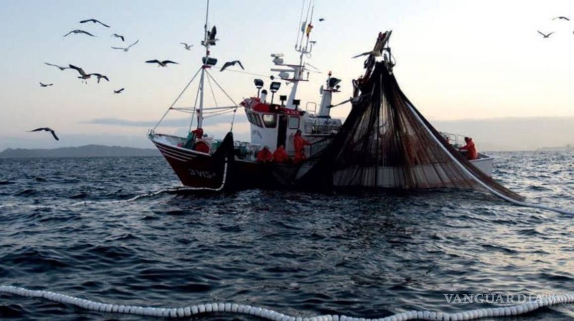 $!Se va a refundar la pesca en el país con AMLO, asegura Raúl Elenes Angulo, próximo Comisionado Nacional de Pesca