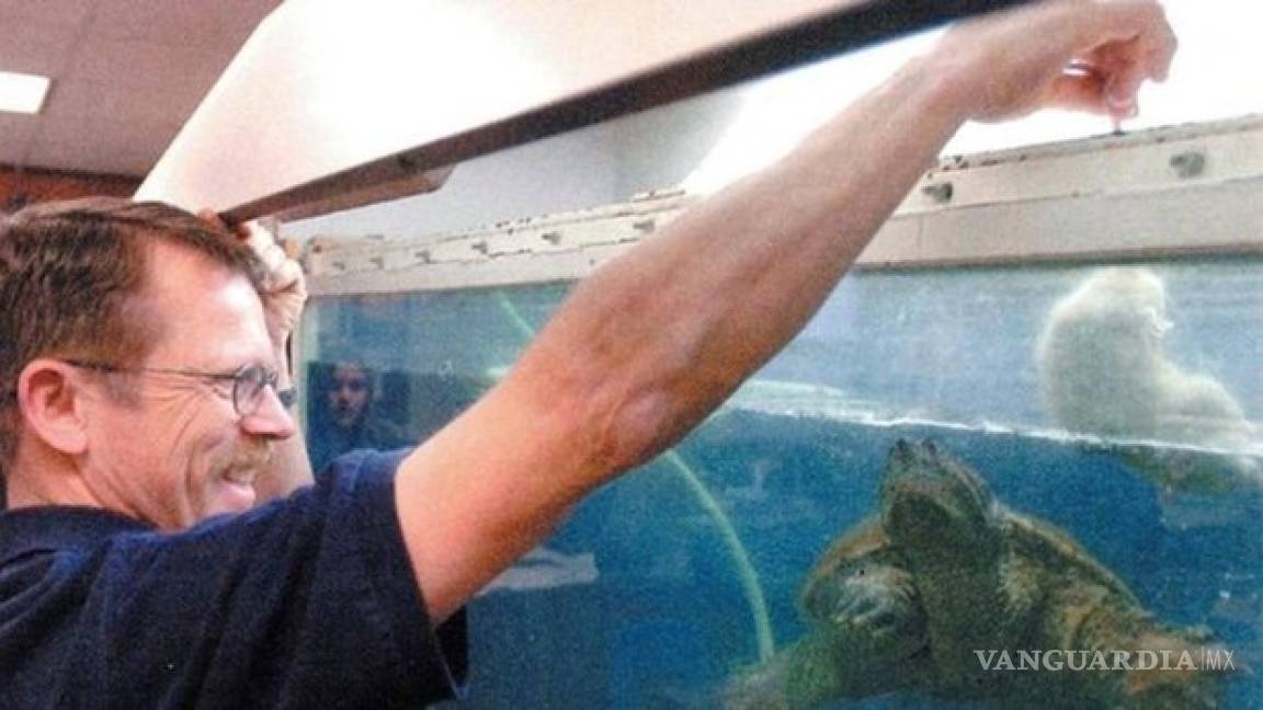Profesor es detenido por alimentar a tortuga carnívora con un cachorro vivo