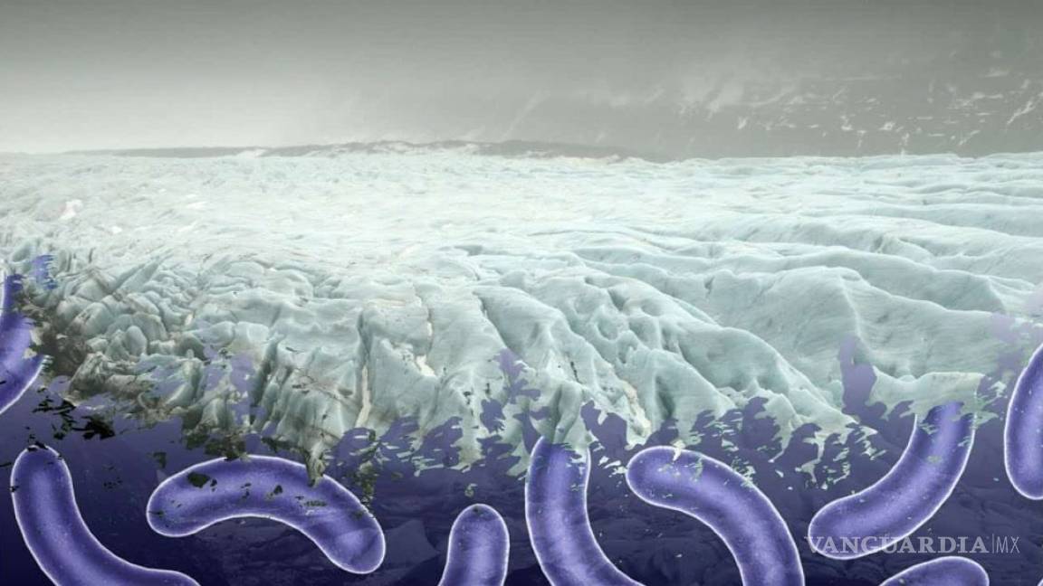 Cambio Climático 'descongelará' nuevos virus, advierten