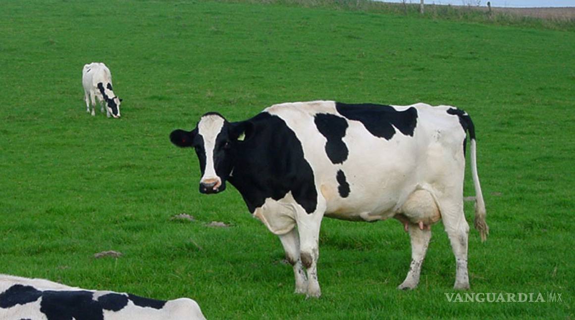 Productores de leche de Canadá, en alianza con sus similares mexicanos