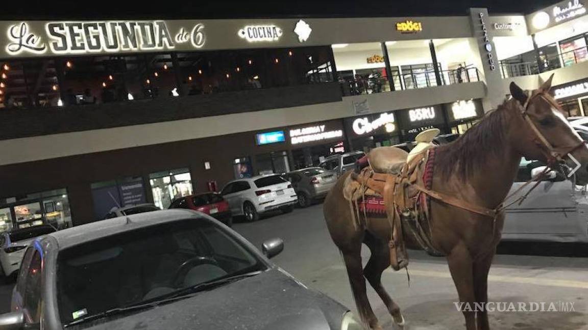 Vaquero deja estacionado su caballo en Plaza Comercial de Torreón