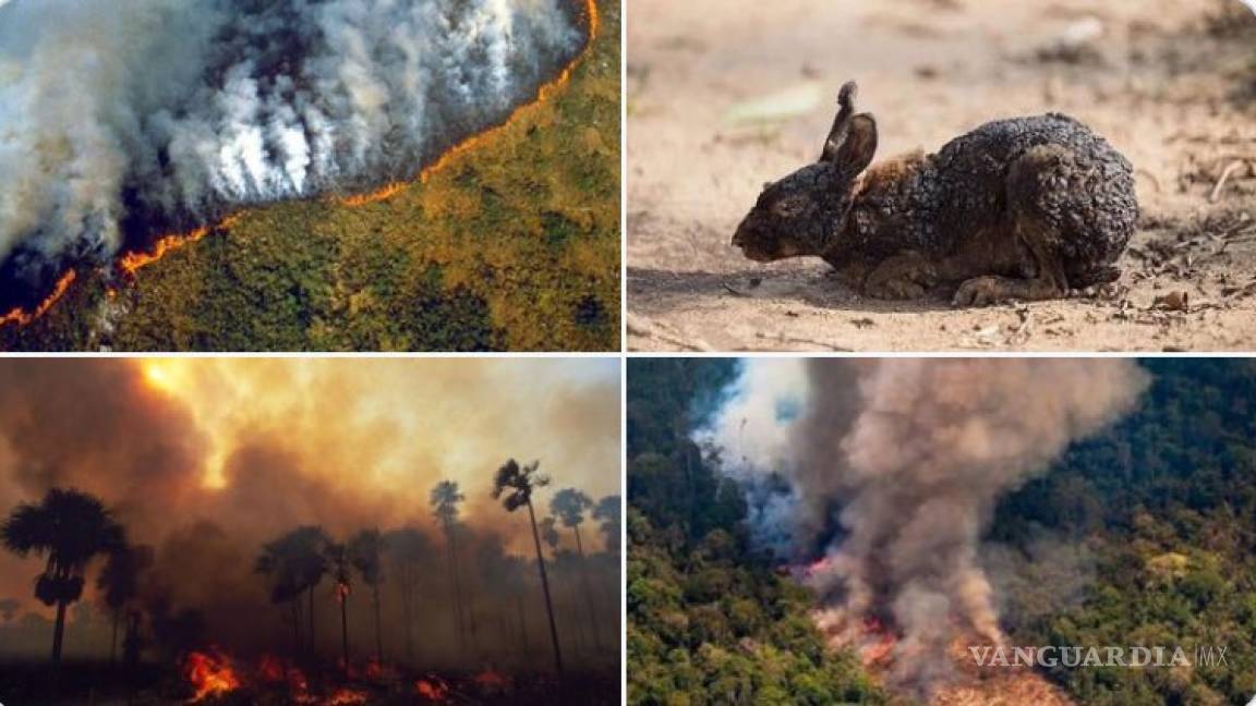 $!Acusa Bolsonaro a ONG's de provocar los incendios en Amazonas