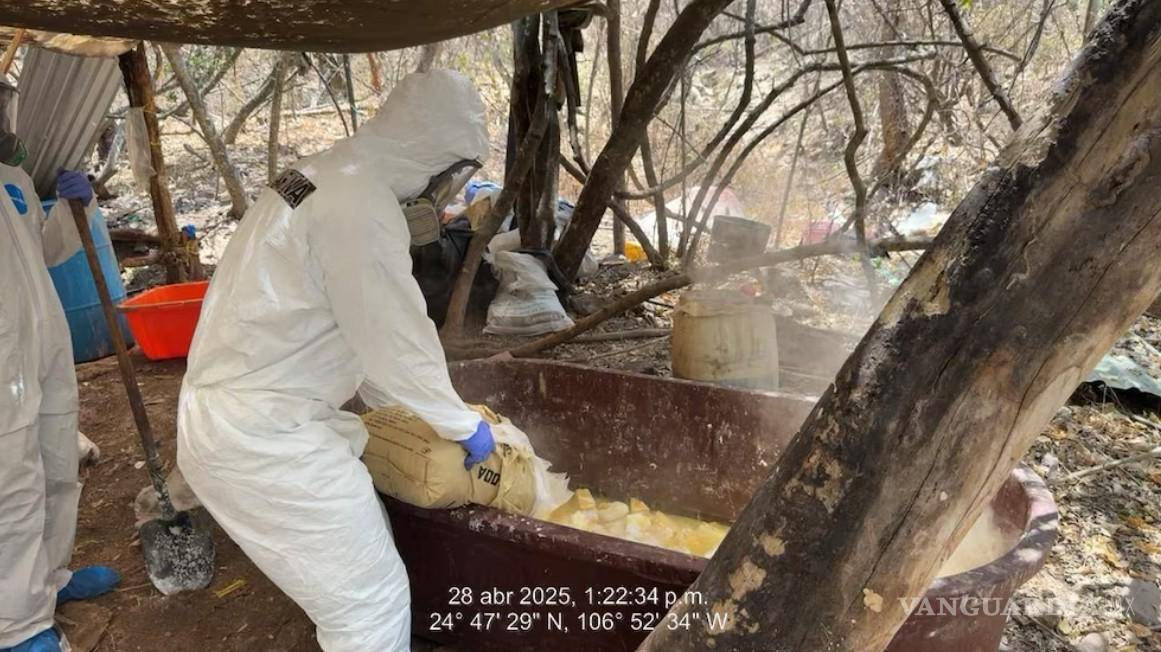 $!Desmantelan laboratorio clandestino en Sinaloa