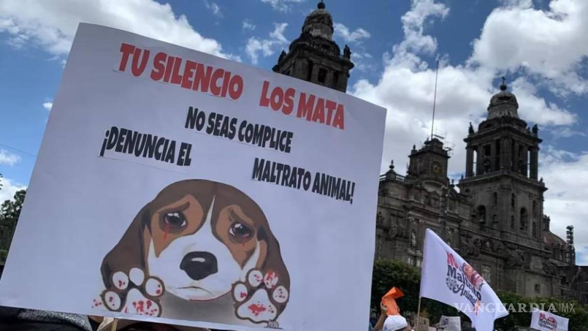 Alista AMLO iniciativa para conmemorar un día al ‘trato justo’ a los animales