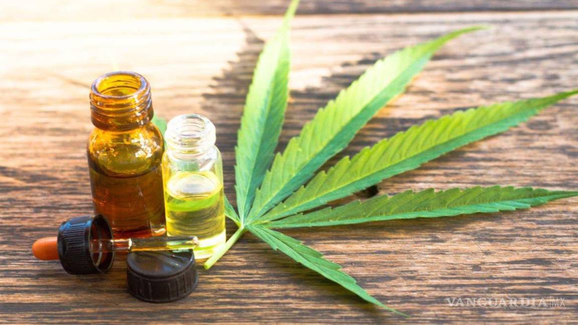 Aumentó 17 por ciento el mercado de cannabis medicinal