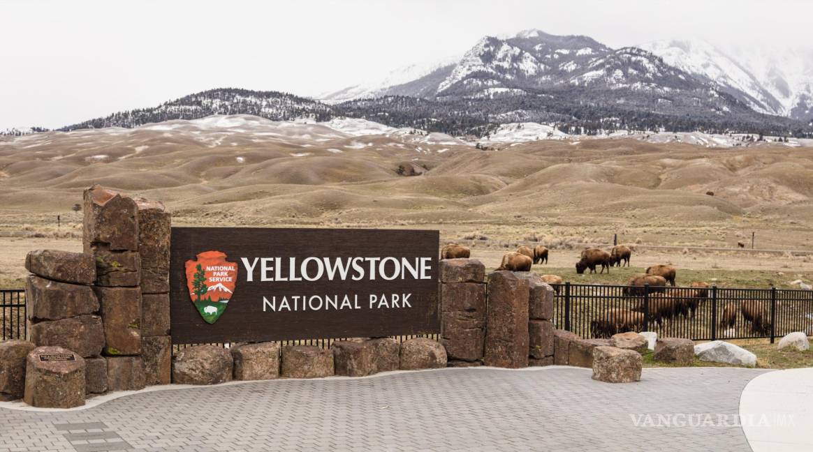 $!El Parque Nacional de Yellowstone está considerado como uno de los más bellos del mundo. EFE/National Park Service