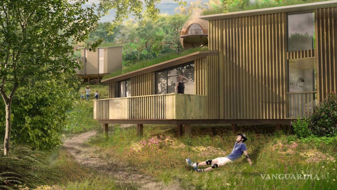 $!Viviendo en un "nido"