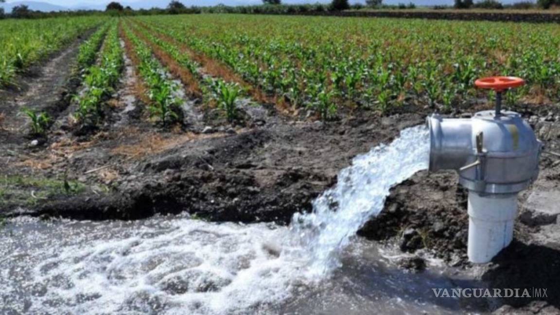 Campesinos deberán pagar por usar de agua en agricultura y ganadería