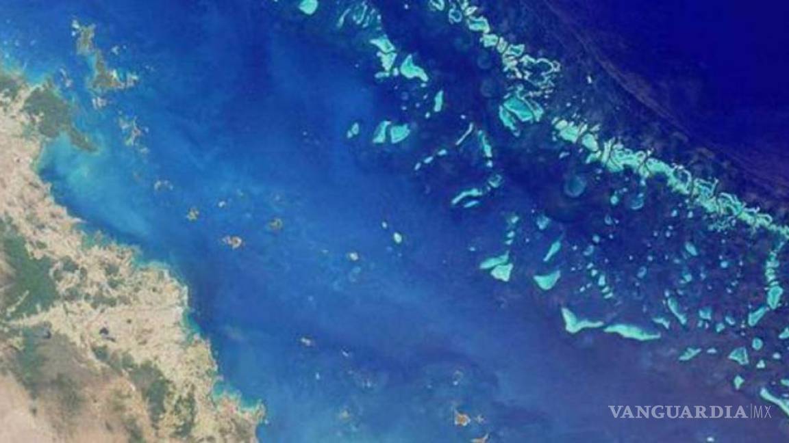 Descubren nuevo gran arrecife detrás de la Gran Barrera de Coral