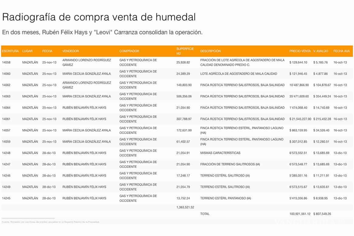 $!El Humedal que se vendió en 100 MDP