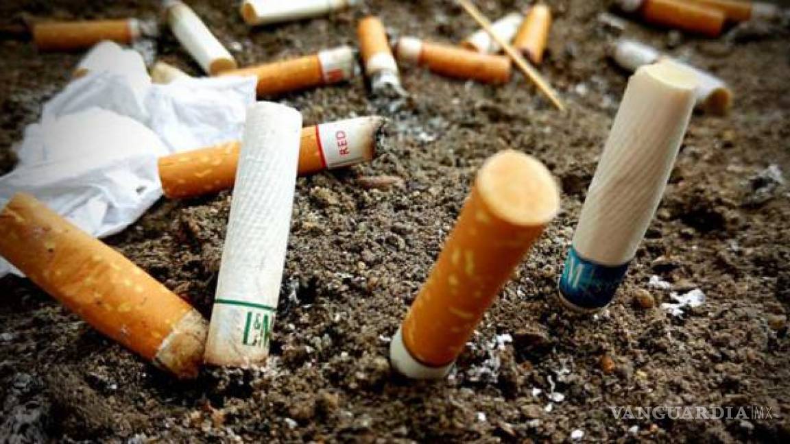 Movimiento Ciudadano quiere imponer multa de 25 mil pesos por tirar colilla de cigarros en Nuevo León
