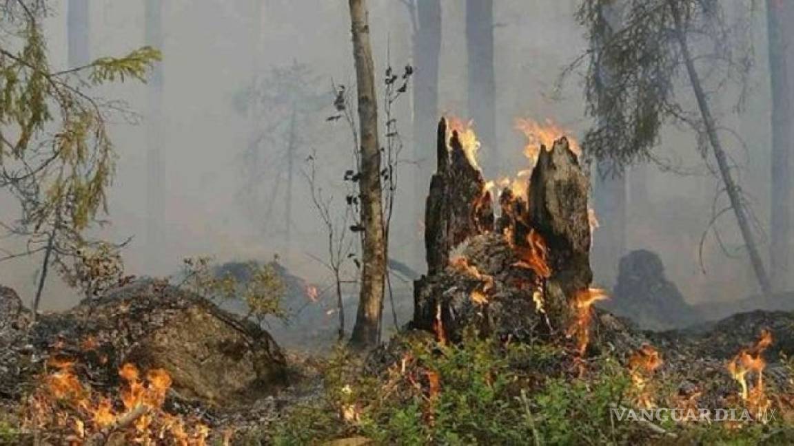 Tres semanas después comienza Brasil a apagar el fuego en el Amazonas