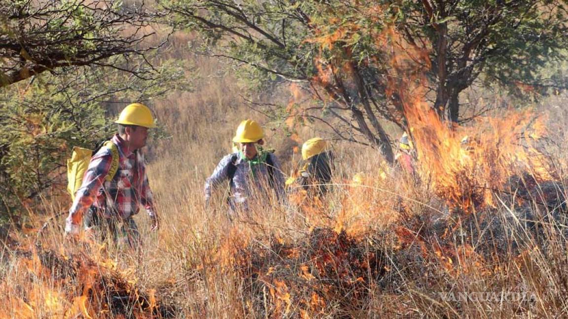 Después de ocho días, logran controlar incendio forestal en Oaxaca