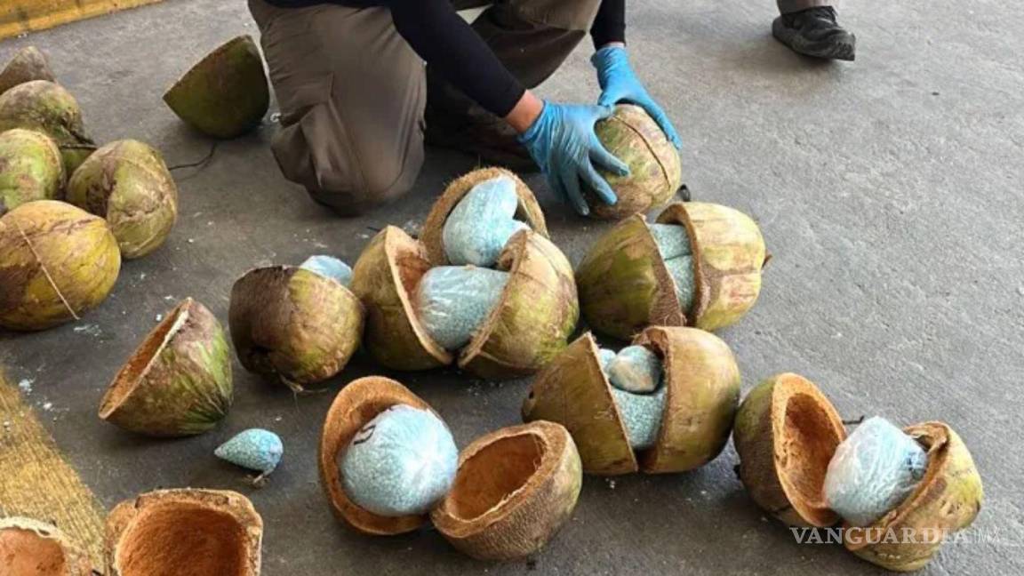 Decomisan 300 kilos de fentanilo ocultos en cocos, en frontera de México-EU