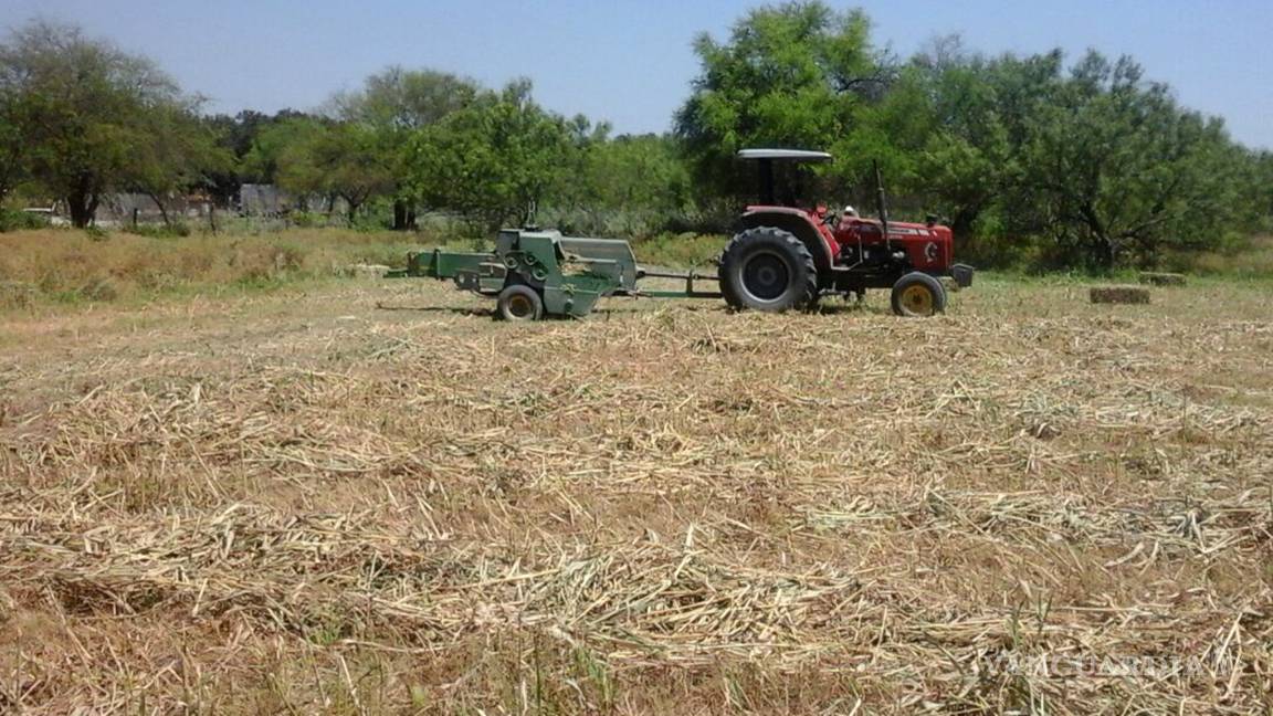 Amplían plazo para presentar proyectos productivos en Nava