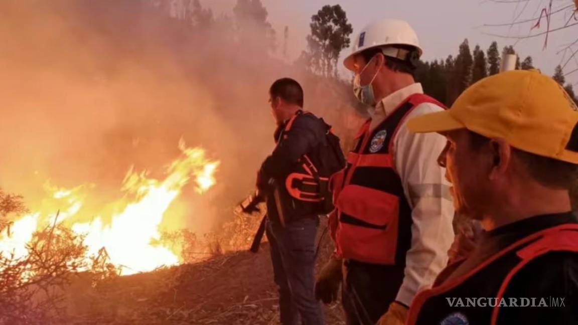 Dejan incendios forestales 15 muertos en Perú