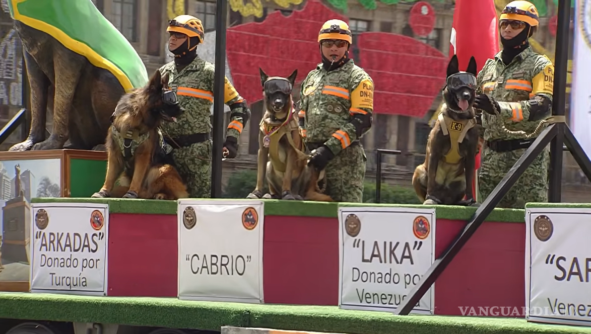 $!¡Paracaidistas, drones, perros y caballos! Así fue el Desfile Militar 2026 por la Independencia de México