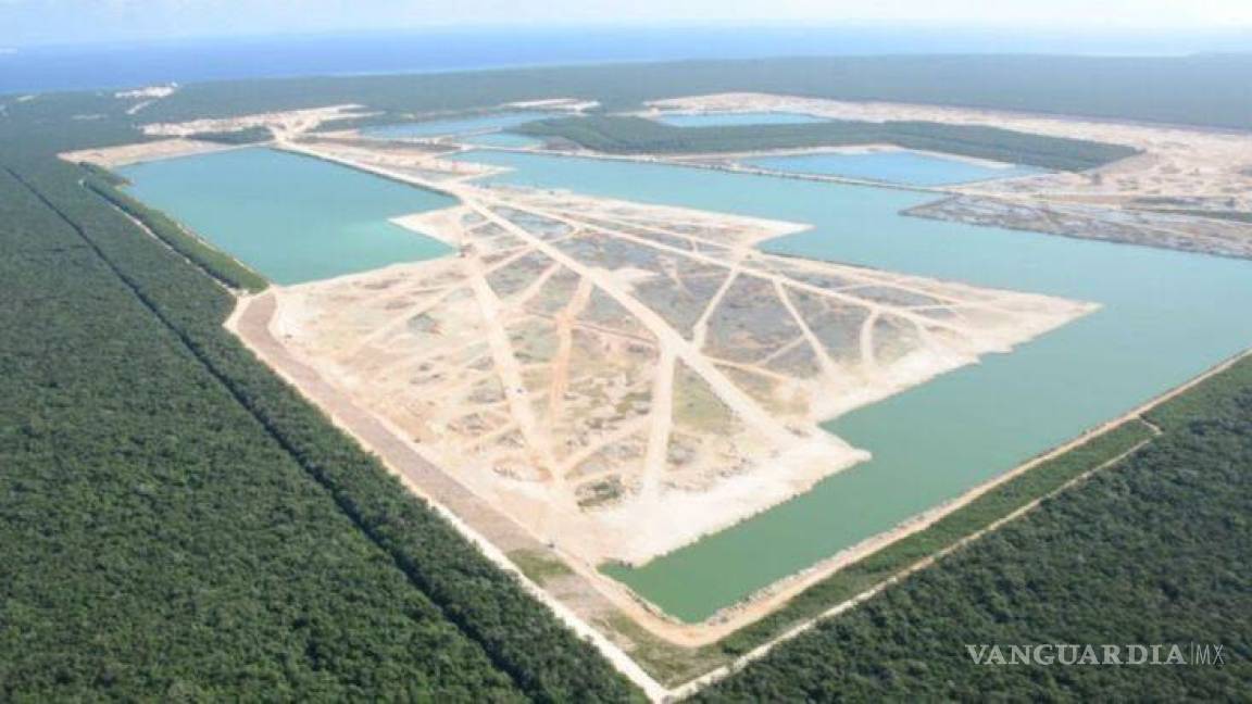 Si expropian a Vulcan, congreso de EU multaría a quien use puerto de Punta Venado en Quintana Roo