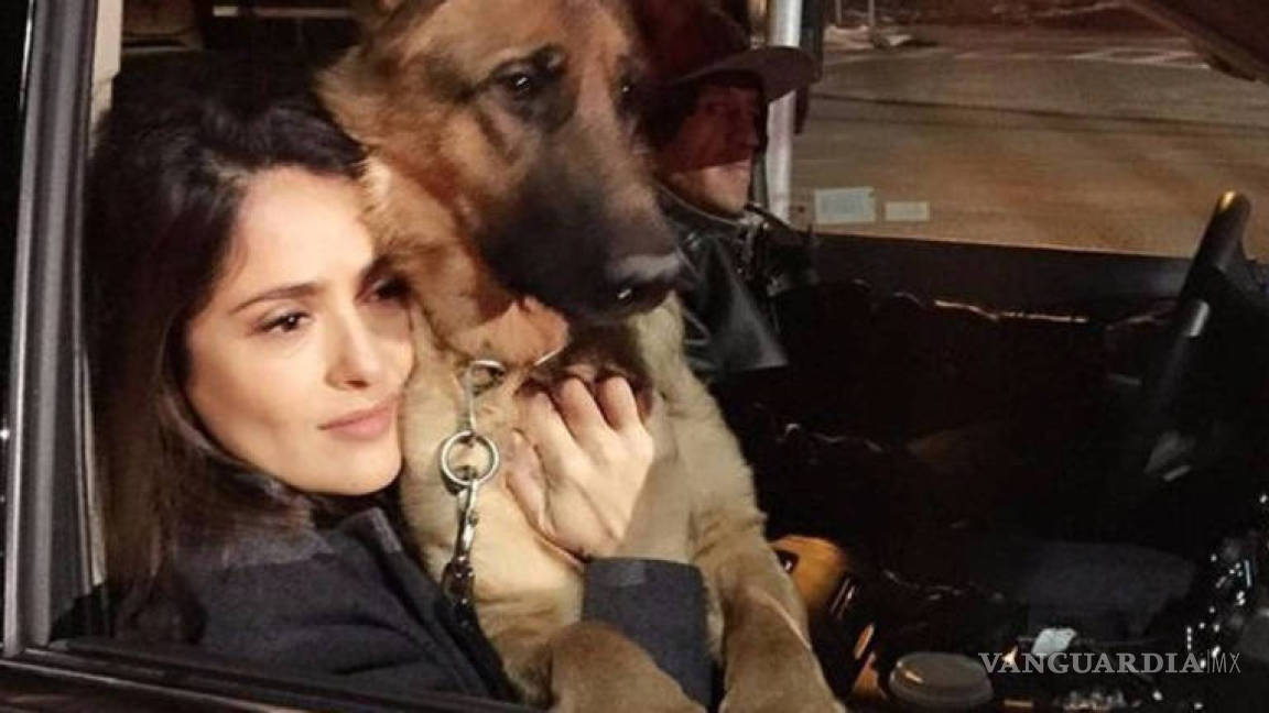 Vecino desconocía que disparó al perro de Salma Hayek