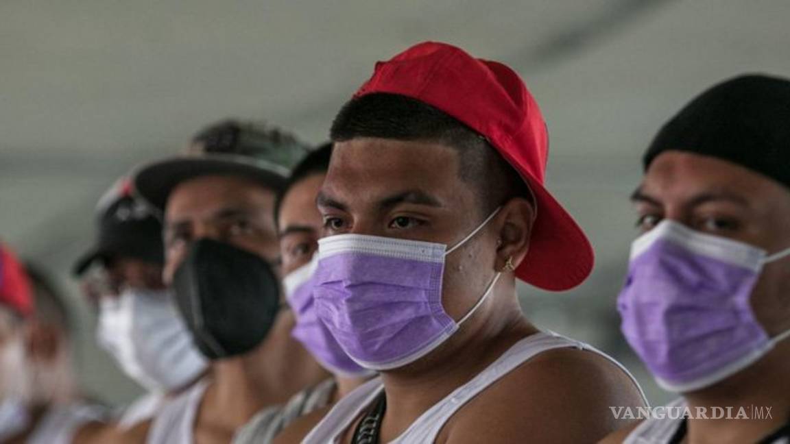 $!RSP debe retirar su grupo de 'autodefensa electoral', los Mastines