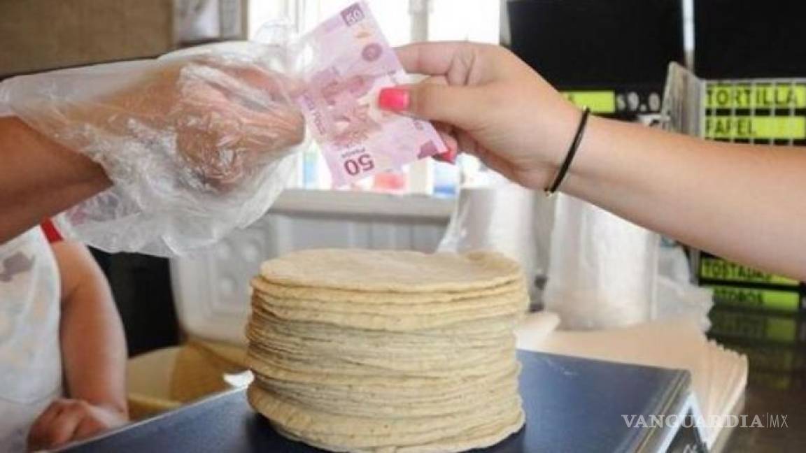 Aumentó el precio de la tortilla un peso por kilo en todo el país: CNTU