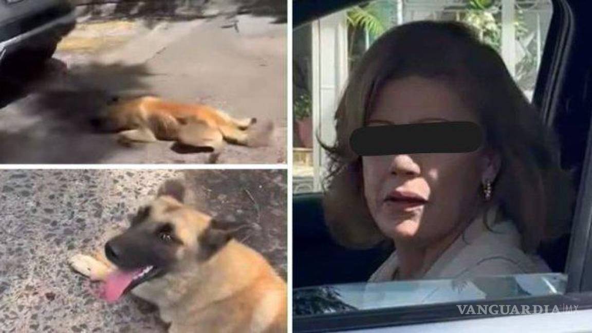 ‘Ay, es un perro’, la detienen por arrastrar a perrito con su auto