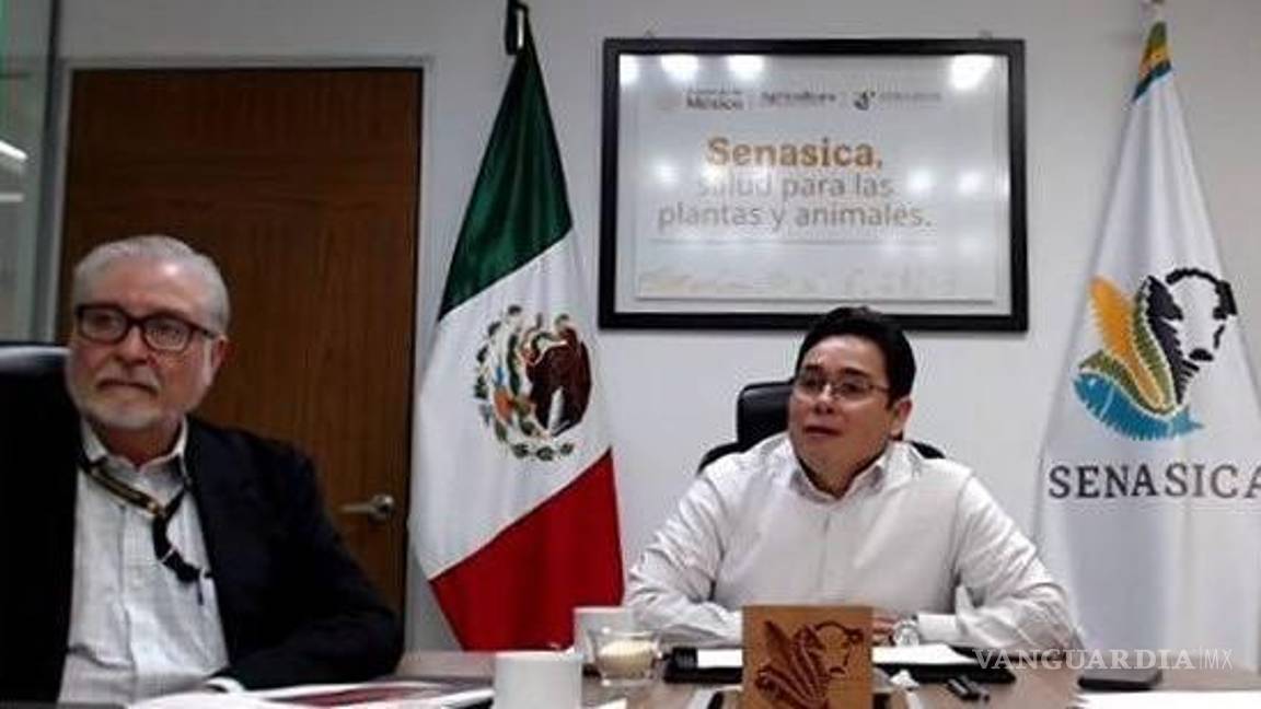 $!El Senasica y gobiernos estatales intensifican vigilancia epidemiológica en regiones ganaderas del norte del país.