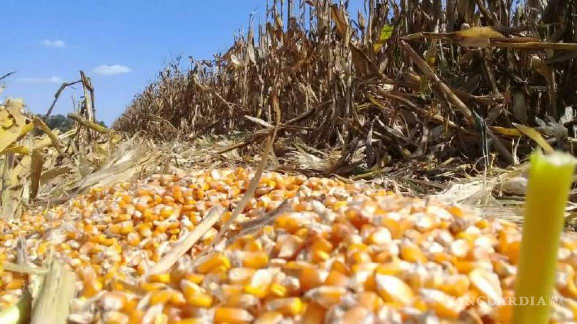 México rompe récord en compra de granos al exterior