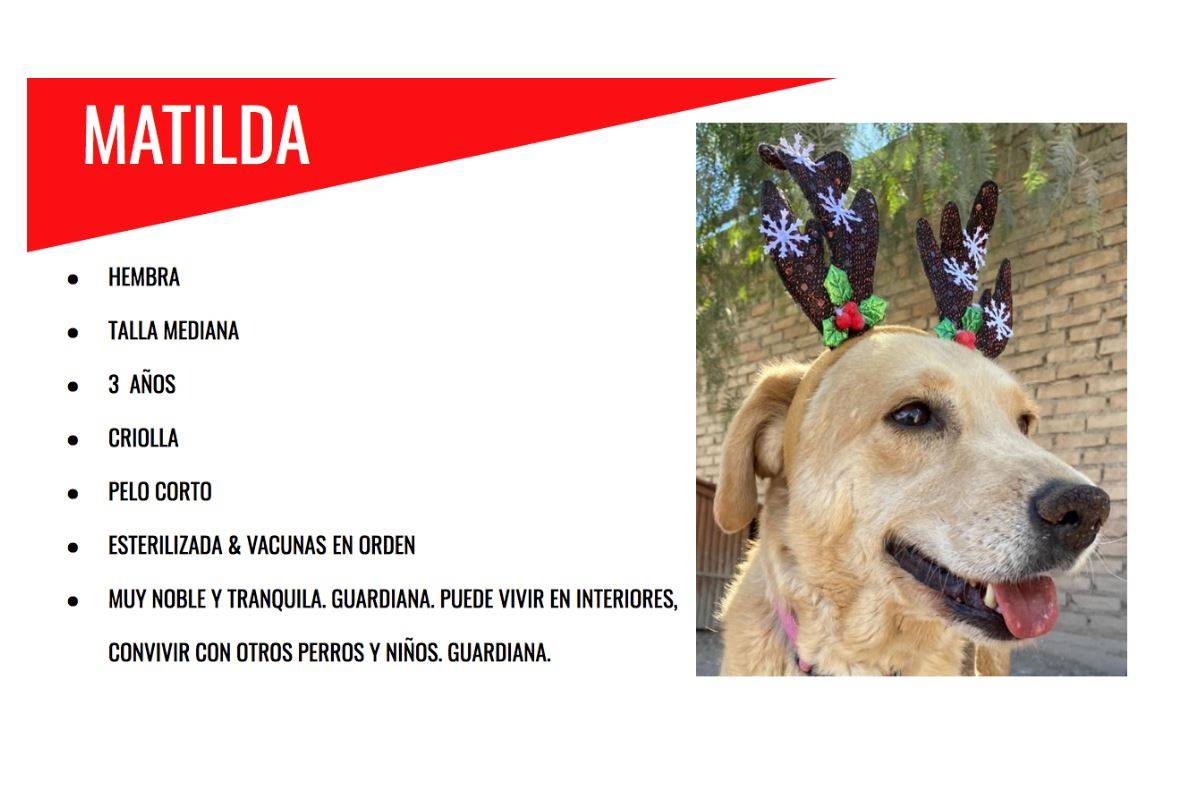 $!Melchwof, Gaspaw y Baltarawr