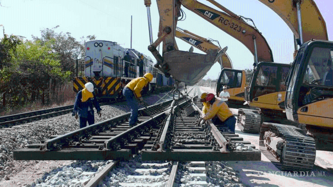 Eliminaron suspensiones al Tren Maya, denuncian defensores del medio ambiente