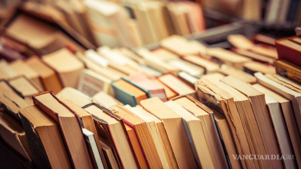 Por no devolver 222 libros de una biblioteca lo detuvieron en España
