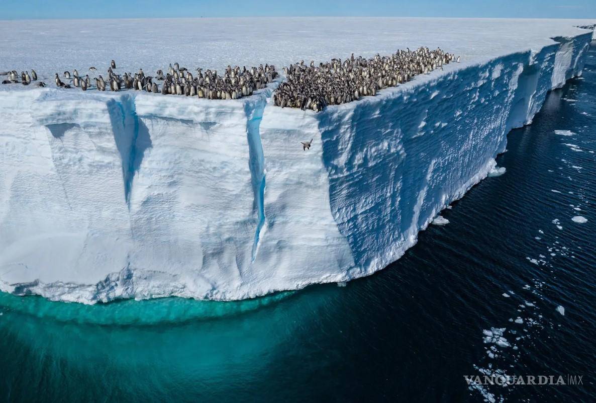 $!Foto: BERTIE GREGORY - NATIONAL GEOGRAPHIC