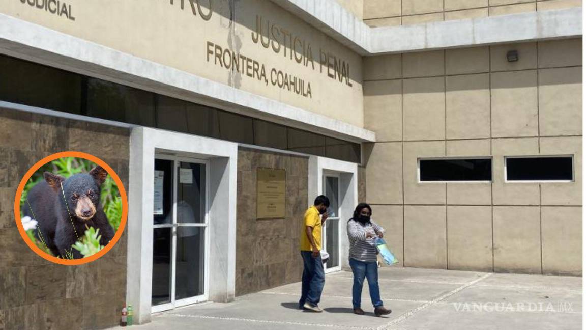 Siguen sin castigo cinco policías y dos ciudadanos por matanza a osezno en Castaños