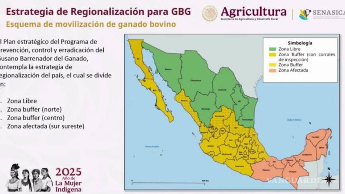 $!El Gobierno Federal y estados fronterizos coordinan acciones para levantar la pausa comercial.