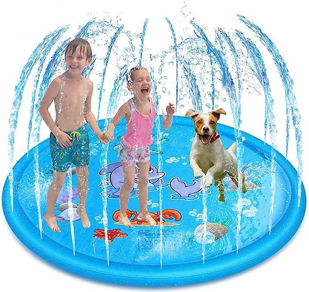 $!Inflable para perros y niños perfecto para tu jardín.