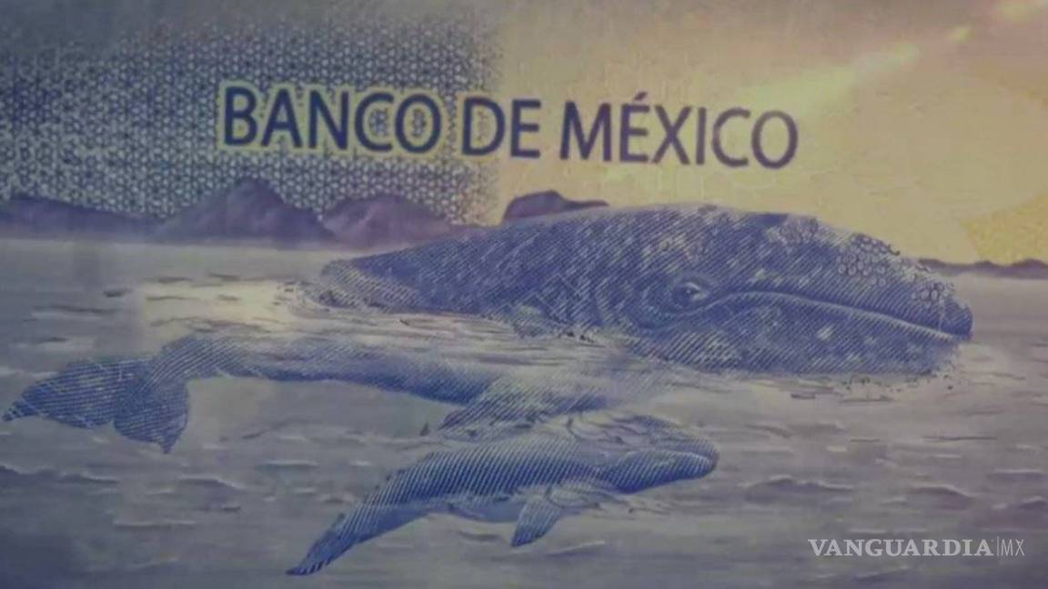 $!Así es el nuevo billete de 500 pesos