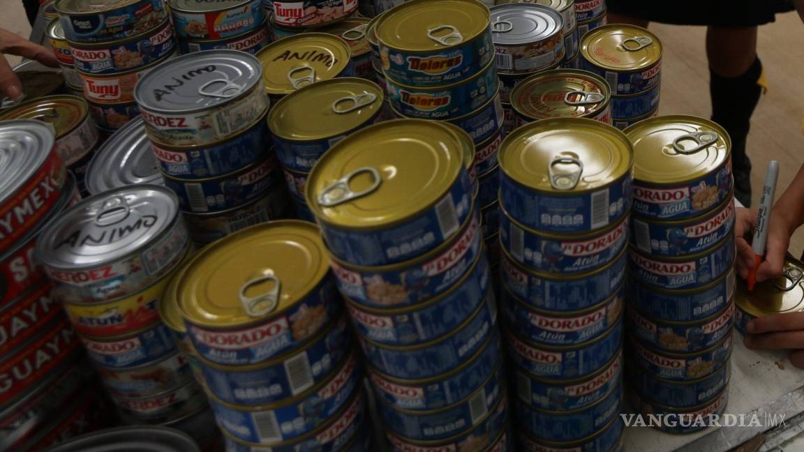 Encuentran carne de delfín en latas de atún vendidas en México