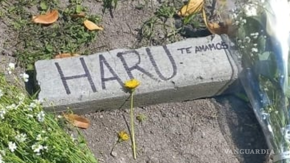 $!El colectivo dejó un pequeño rincón para homenajear al minino.