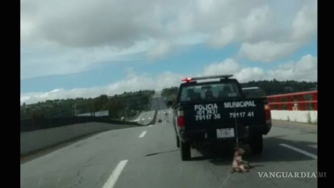 Captan a policía de Hidalgo arrastrando un perro desde su patrulla