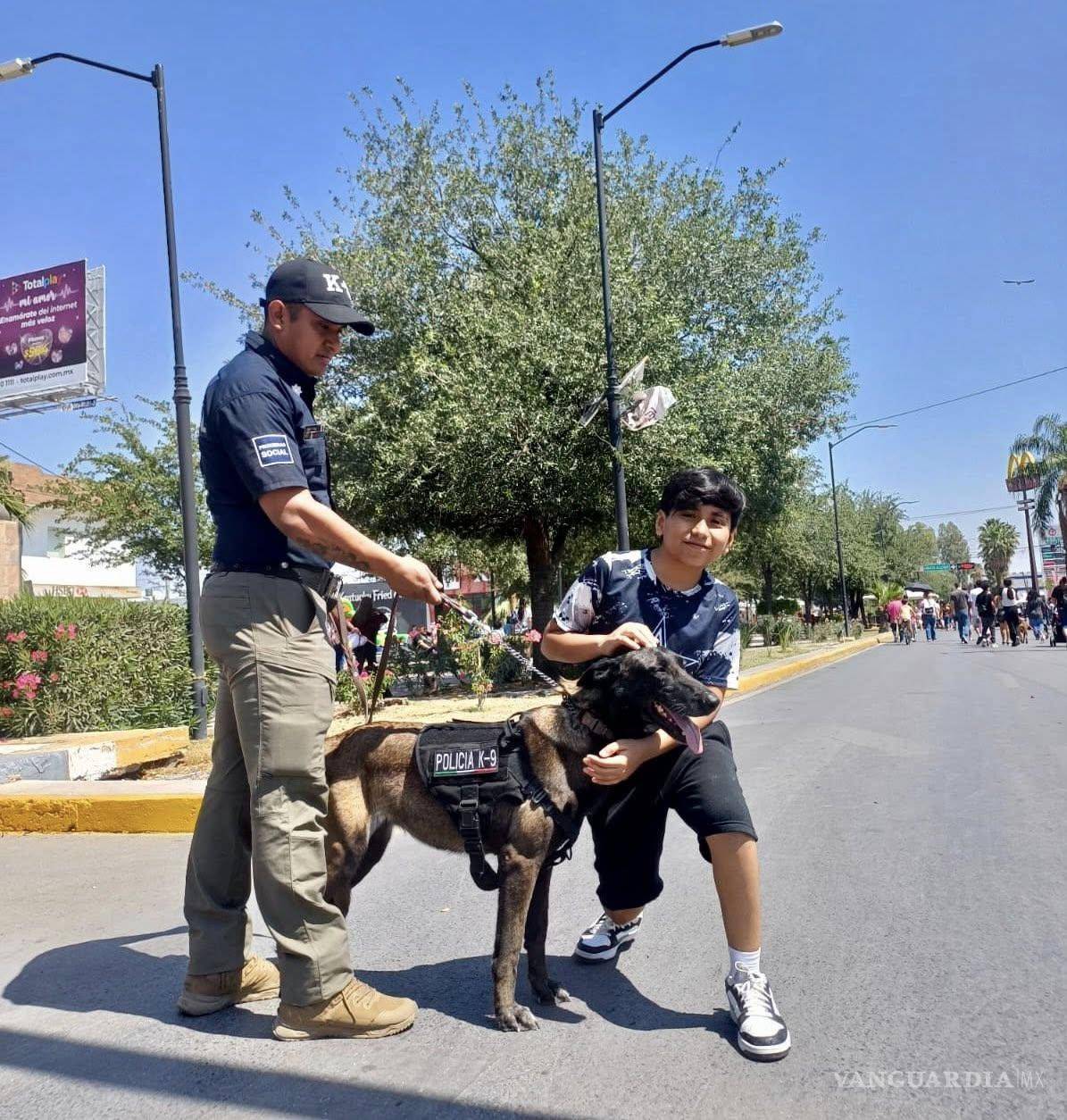 $!La Unidad Canina suma aseguramientos relevantes en la lucha contra el tráfico de drogas.