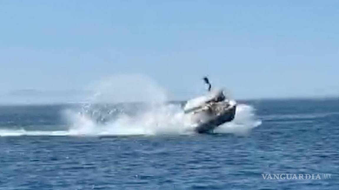 Bote choca contra ballena en Baja California Sur; hay seis lesionados