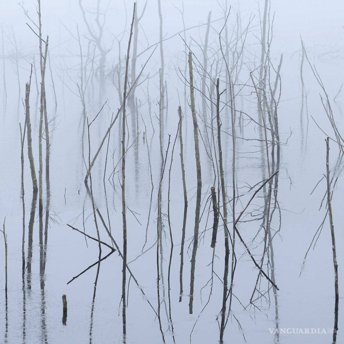 $!Lo mejor del metal extremo (y más) en el 2021