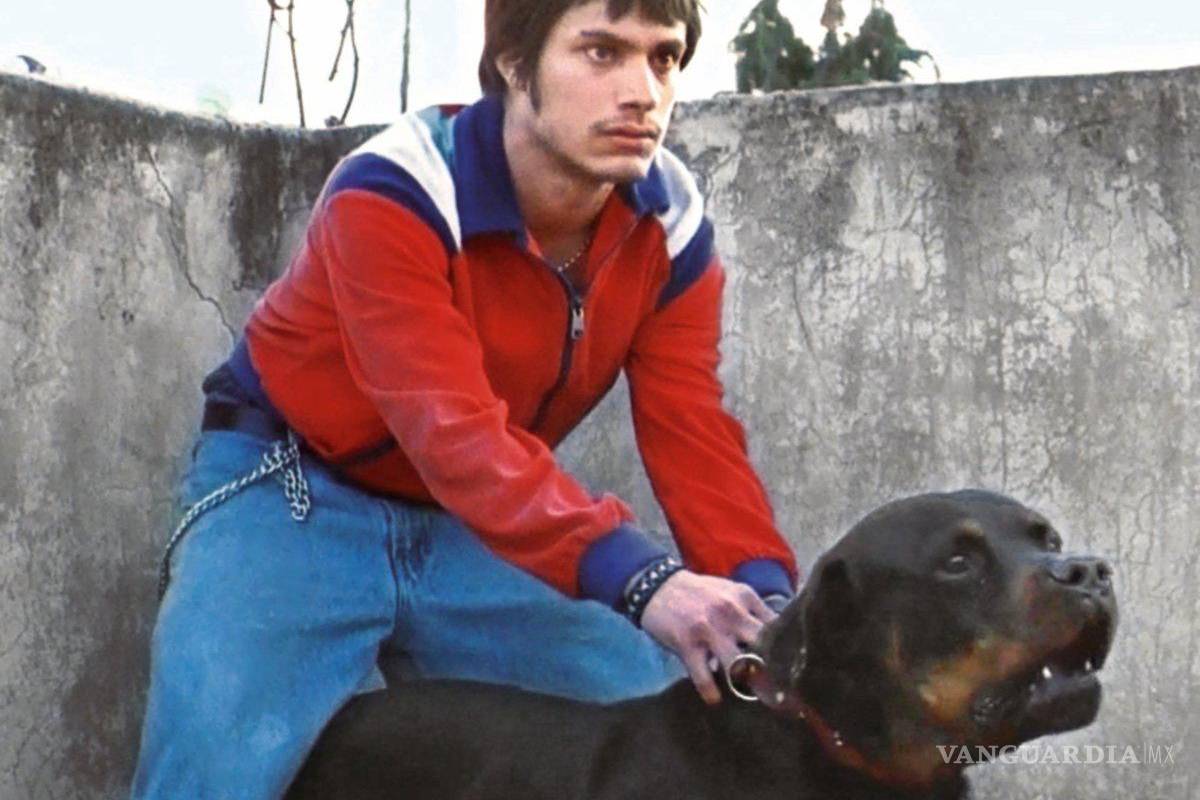 “Amores Perros” vuelve para el Día Nacional del Cine Mexicano