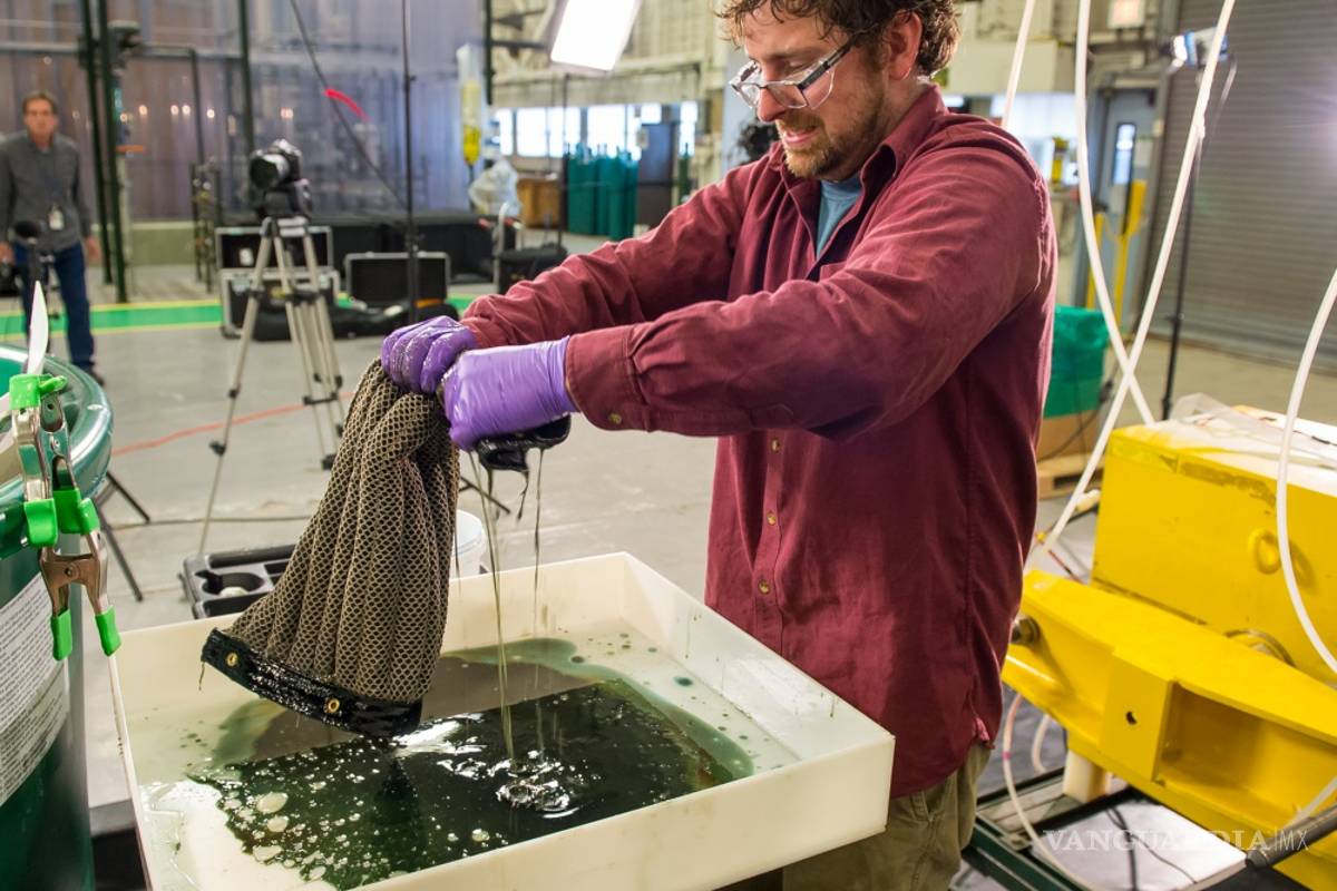 La óleo-esponja absorbe 90 veces su propio peso y extrae distintos tipos de petróleo