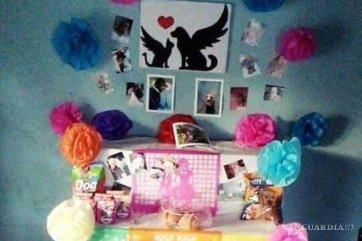 Proponen que el 3 de Noviembre sea el Día de Muertos para Mascotas