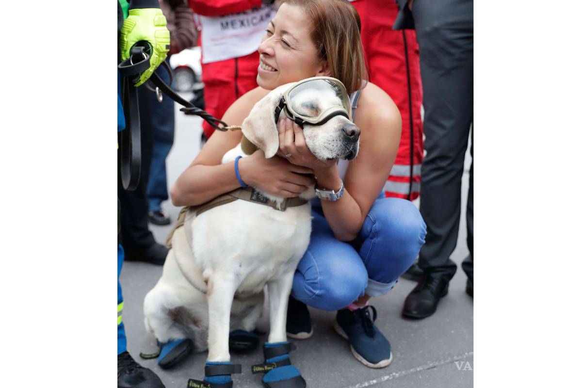 Reapare Frida, la heroína de los sismos